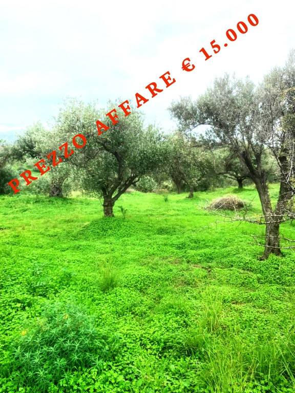 terreno agricolo in vendita a Rodì Milici