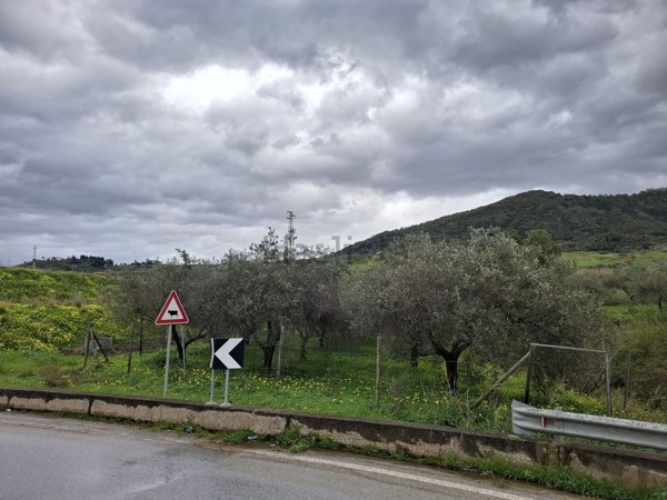 terreno agricolo in vendita a Rodì Milici