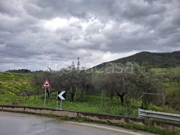 terreno agricolo in vendita a Rodì Milici