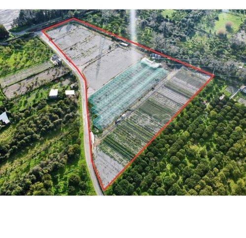 terreno agricolo in vendita a Rodì Milici