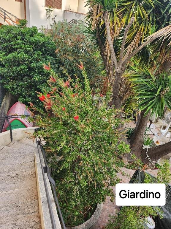 casa indipendente in vendita a Rometta in zona Rometta Marea