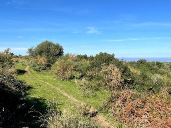terreno agricolo in vendita a Rometta