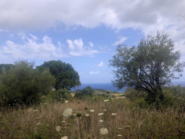 terreno agricolo in vendita a Rometta in zona Rometta Marea
