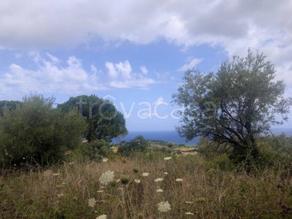 terreno agricolo in vendita a Rometta in zona Rometta Marea