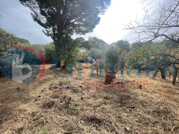 terreno agricolo in vendita a Rometta