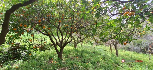 terreno agricolo in vendita a Rometta