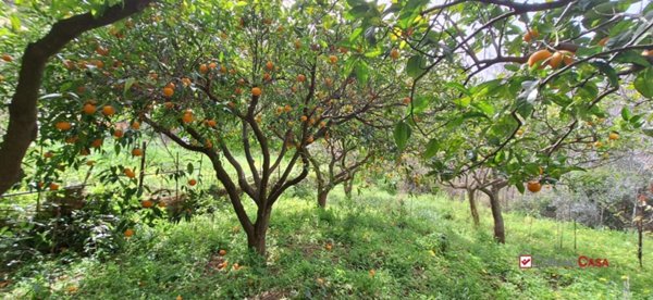 terreno agricolo in vendita a Rometta in zona Gimello