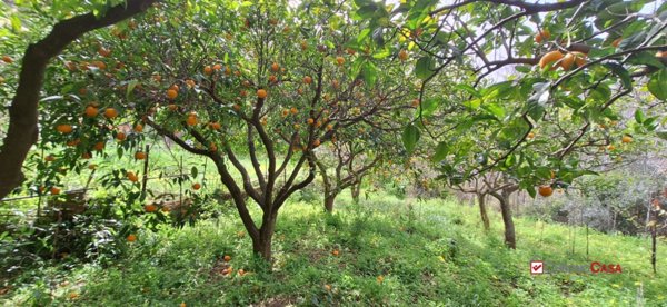terreno agricolo in vendita a Rometta