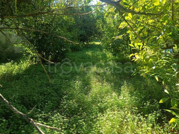 terreno agricolo in vendita a Rometta in zona Rometta Marea