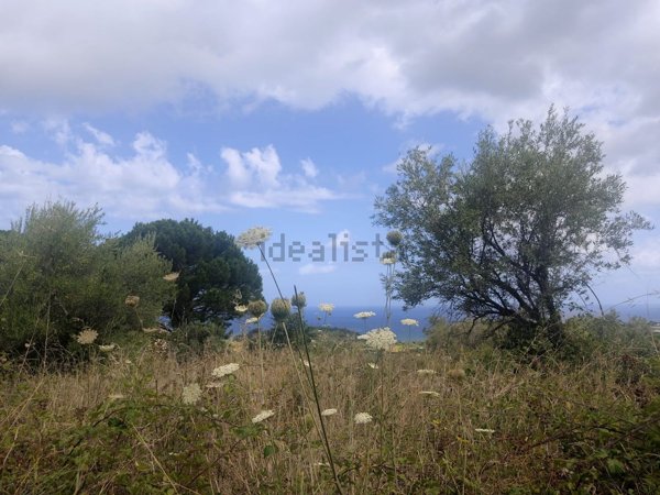 terreno agricolo in vendita a Rometta in zona Rometta Marea