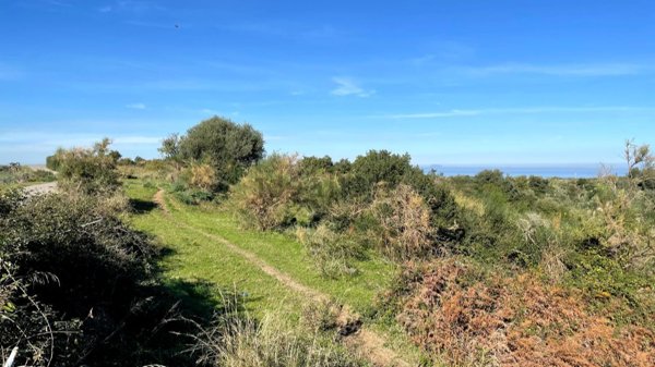 terreno agricolo in vendita a Rometta