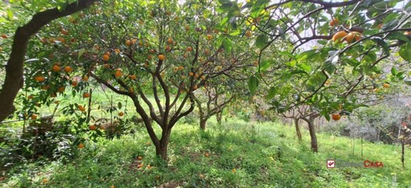 terreno agricolo in vendita a Rometta
