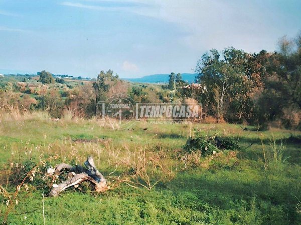 terreno agricolo in vendita a Rometta in zona Rometta Marea