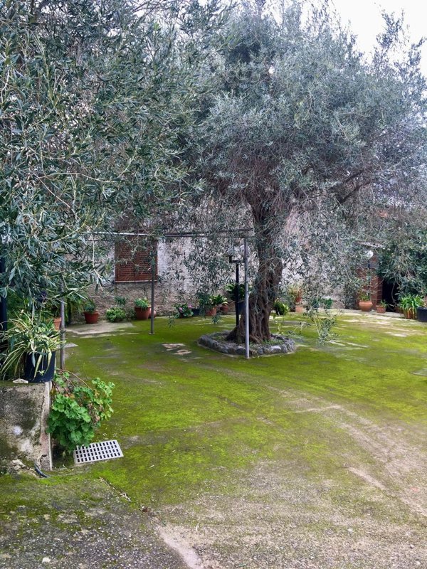 casa indipendente in vendita a Rometta in zona Rometta Marea