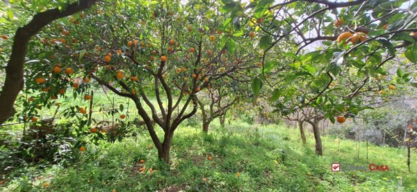 terreno agricolo in vendita a Rometta in zona Gimello