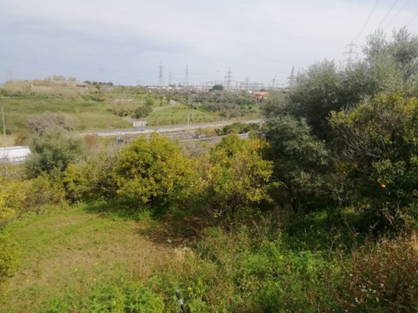 azienda agricola in vendita a San Filippo del Mela