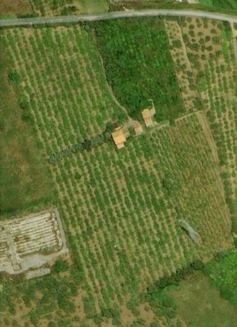 terreno agricolo in vendita a San Filippo del Mela