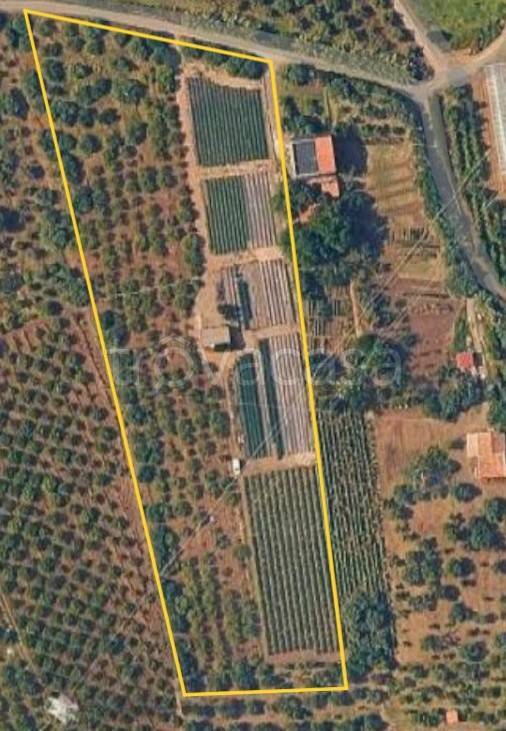 terreno agricolo in vendita a San Filippo del Mela