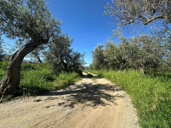 terreno agricolo in vendita a San Filippo del Mela