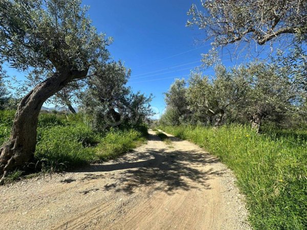 terreno agricolo in vendita a San Filippo del Mela