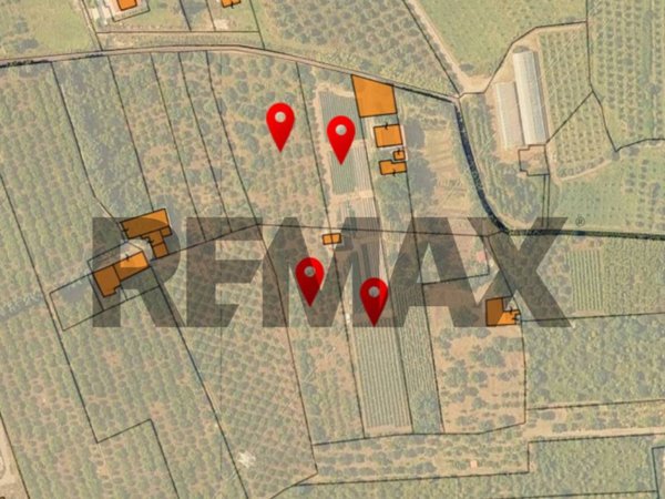 terreno agricolo in vendita a San Filippo del Mela in zona Corriolo