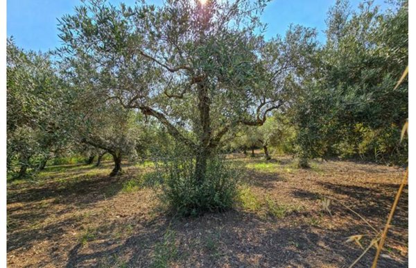 terreno agricolo in vendita a San Filippo del Mela in zona Cattafi