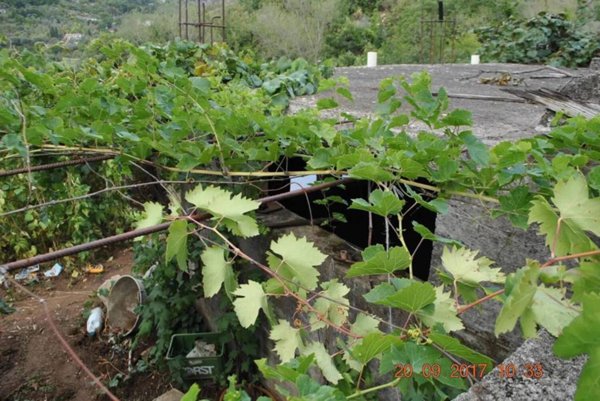 terreno agricolo in vendita a San Marco d'Alunzio