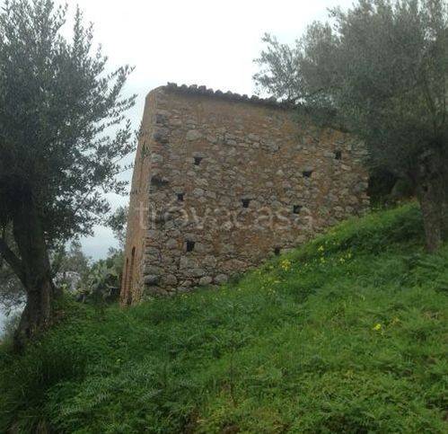 terreno agricolo in vendita a San Marco d'Alunzio