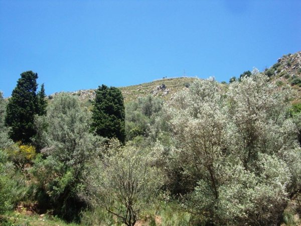 rudere in vendita a San Marco d'Alunzio