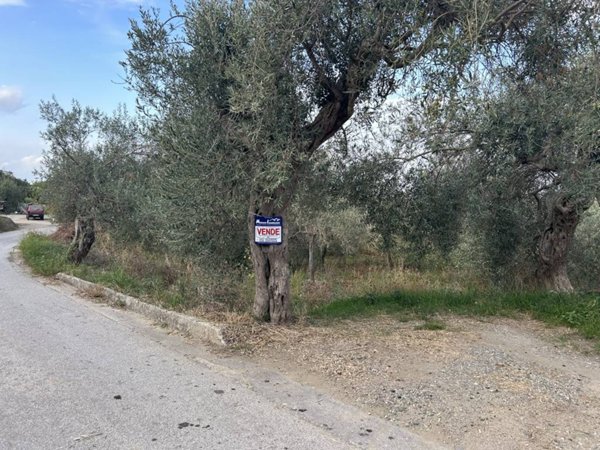 terreno agricolo in vendita a San Pier Niceto in zona Zifronte