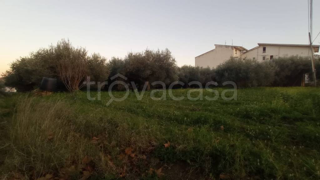 terreno agricolo in vendita a San Pier Niceto in zona Serro