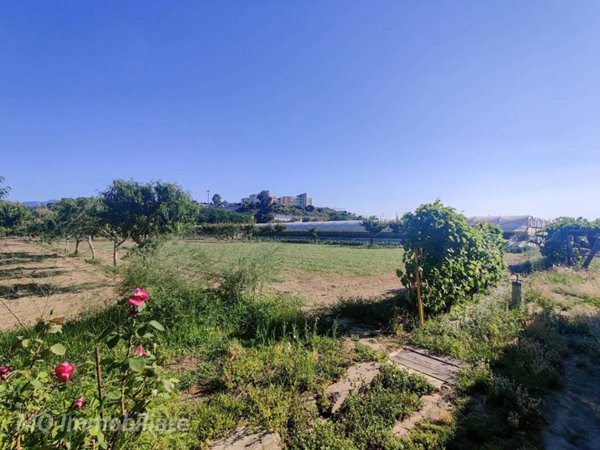 terreno agricolo in vendita a San Pier Niceto