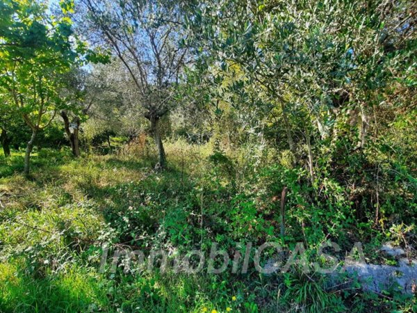 terreno agricolo in vendita a San Pier Niceto