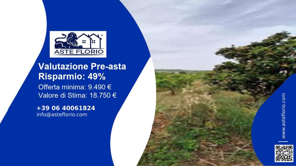 terreno agricolo in vendita a San Pier Niceto