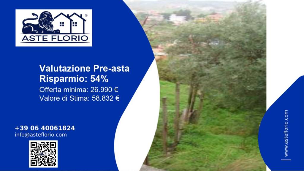 terreno agricolo in vendita a San Pier Niceto