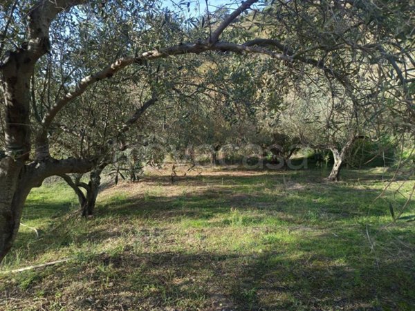 locale di sgombero in vendita a San Pier Niceto