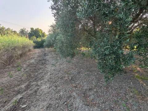 terreno in vendita a San Pier Niceto