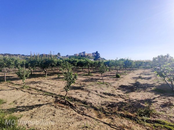 terreno agricolo in vendita a San Pier Niceto
