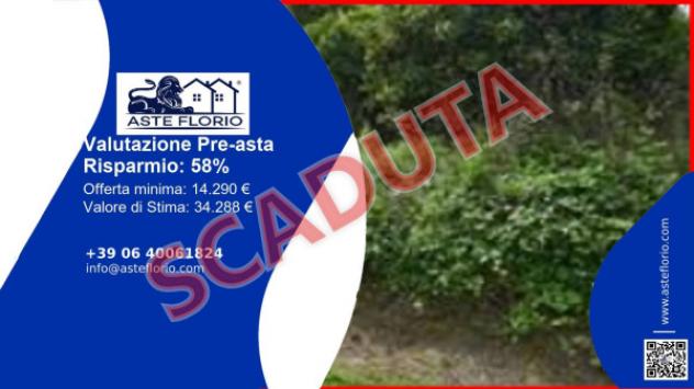 terreno agricolo in vendita a San Pier Niceto