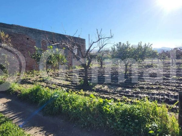 terreno agricolo in vendita a San Pier Niceto