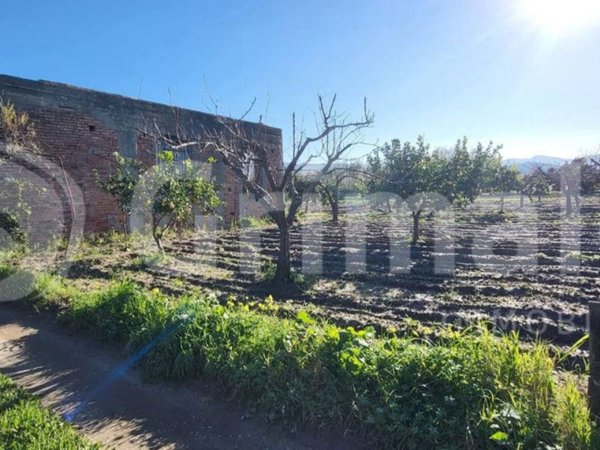 terreno in vendita a San Pier Niceto in zona San Pier Marina