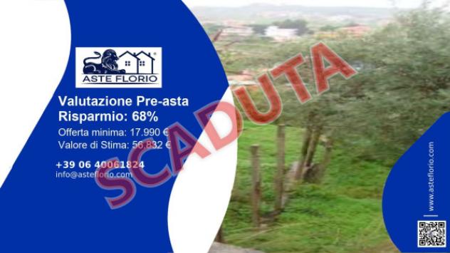 terreno agricolo in vendita a San Pier Niceto