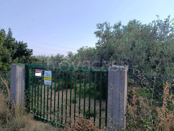 terreno agricolo in vendita a San Pier Niceto in zona San Pier Marina
