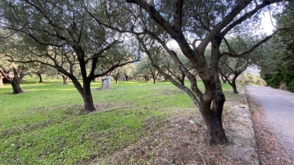 terreno edificabile in vendita a San Piero Patti