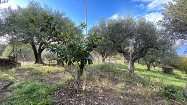terreno agricolo in vendita a San Piero Patti