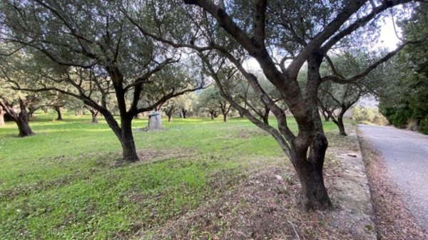 terreno agricolo in vendita a San Piero Patti
