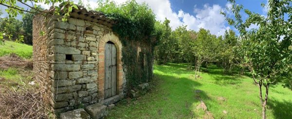 appartamento in vendita a San Piero Patti
