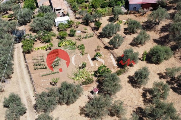 terreno agricolo in vendita a Sant'Agata di Militello