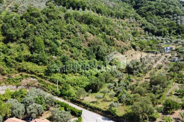 terreno agricolo in vendita a Sant'Agata di Militello