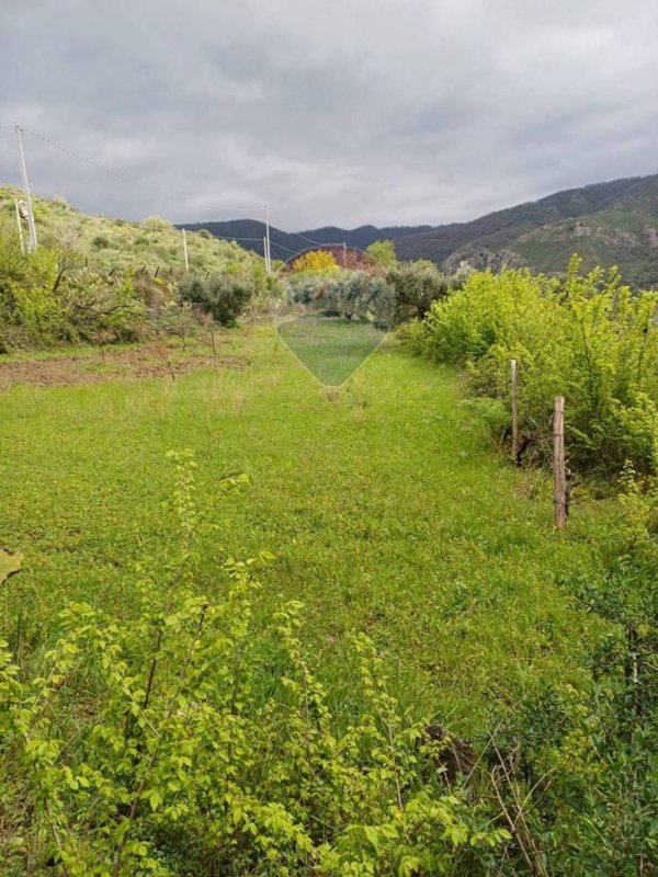 terreno agricolo in vendita a Sant'Agata di Militello
